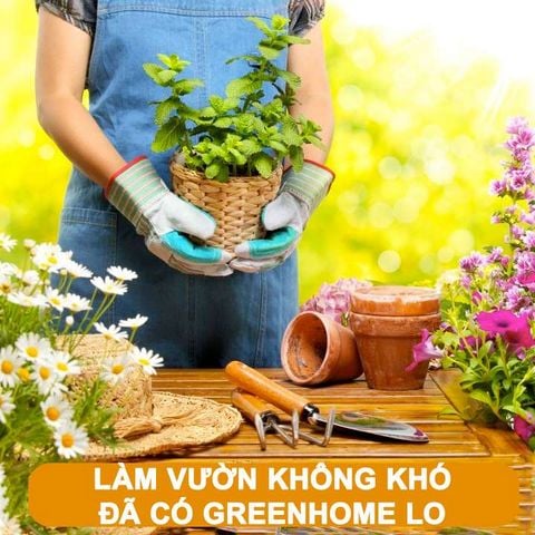 Greenhome - Giải pháp tuyệt vời để làm vườn dễ dàng