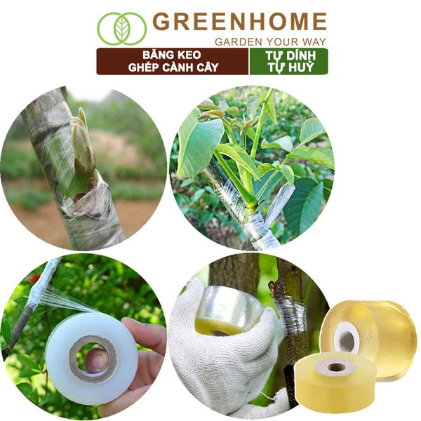 Băng keo ghép cành cây, tự dính, tự huỷ, bảo vệ mối ghép nhanh liền, nhiều kích thước |Greenhome