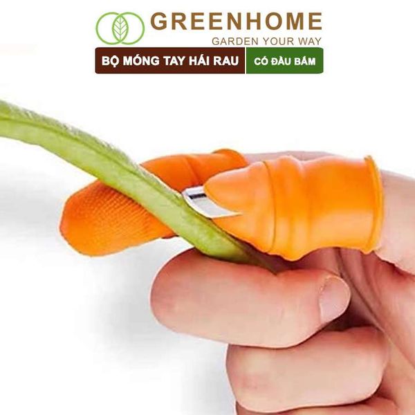 Bộ móng tay hái rau, có đầu bấm, chống bẩn móng tay, ngón cái bấm, cắt rau củ tiện lợi| Greenhome