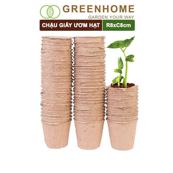 Chậu giấy ươm hạt, D8xR8cm, bằng giấy hữu cơ tự phân huỷ, tiện lợi, ươm cây giống, hạt giống |Greenhome