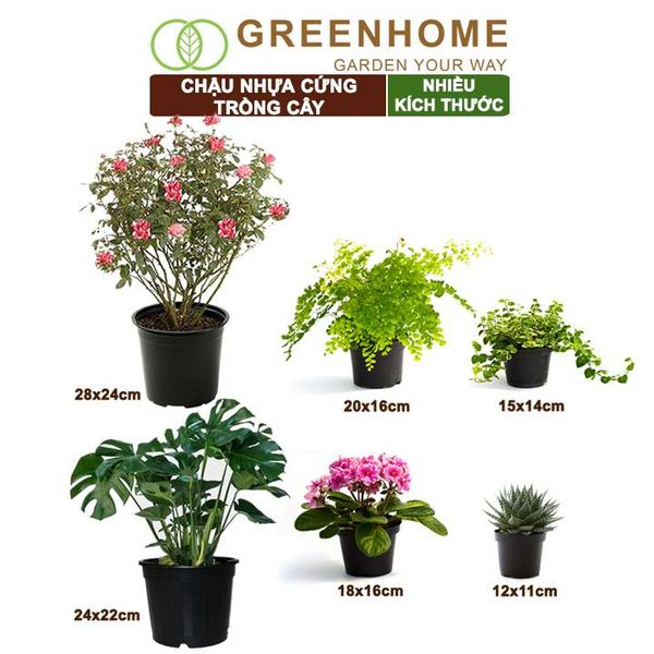 Chậu nhựa trồng cây, đa dạng kích thước, nhựa cứng, thoát nước tốt, trồng cây, hoa, kiểng lá |Greenhome