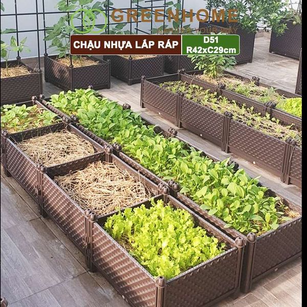 Chậu nhựa trồng rau Nhật Bản, Daim, D51xR42xC29cm, dễ lắp ráp, độ bền 5 năm |Greenhome