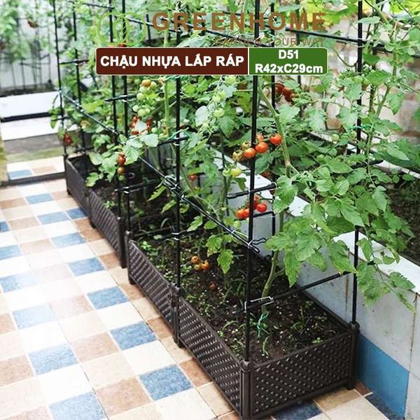Chậu nhựa trồng rau Nhật Bản, Daim, D51xR42xC29cm, dễ lắp ráp, độ bền 5 năm |Greenhome