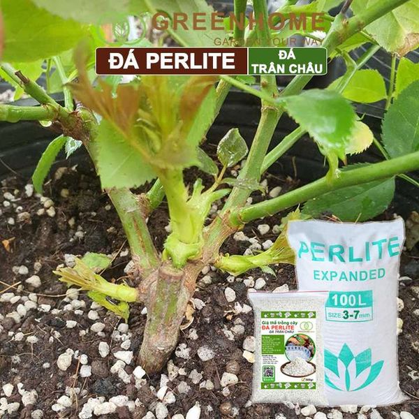 Đá Perlite, bao 500gr, đá trân châu trồng hồng, sen đá, thuỷ canh giàu khoáng chất, tăng độ tơi xốp trong đất |Greenhome