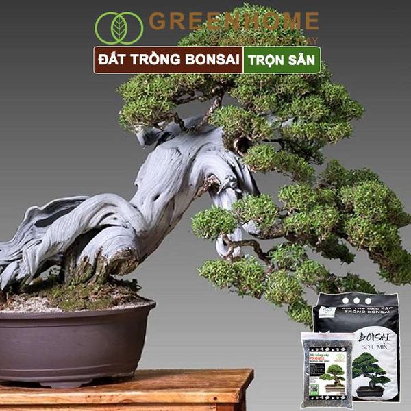 Đất trồng cây bonsai, mai vàng trộn sẵn, bao 1kg, giá thể nhập khẩu, giữ ẩm tốt,  thoáng khí, nhiều dinh dưỡng| Greenhome