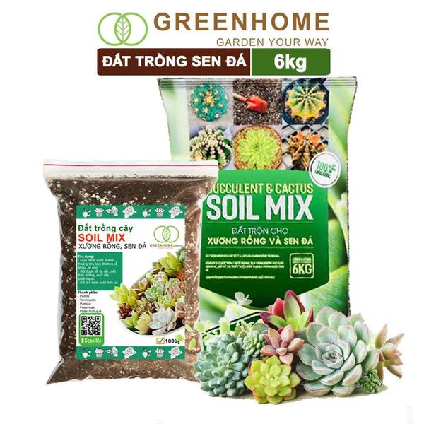 Đất trồng Sen đá Soil Mix, trộn sẵn, đầy đủ dinh dưỡng, thoát nước tốt, Sen đá bền màu |Greenhome