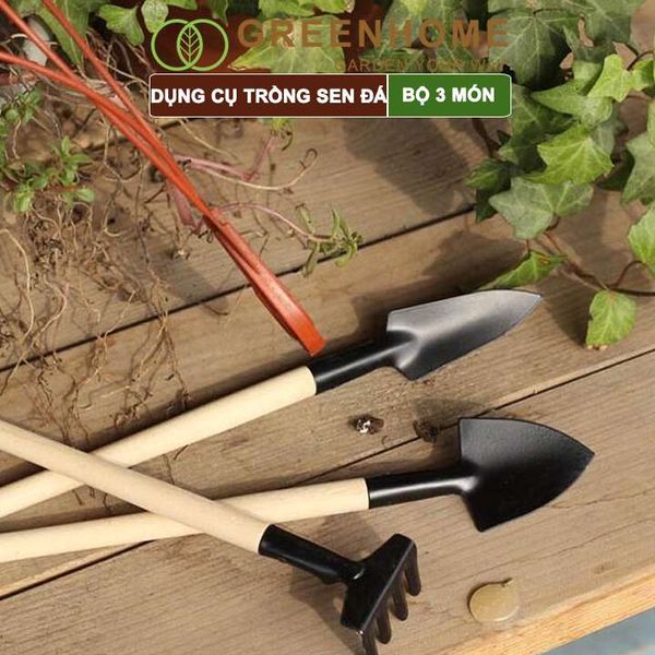 Dụng cụ làm vườn mini, 3 món, tiện lợi, chuyên dụng trồng sen đá, cán gỗ |Greenhome