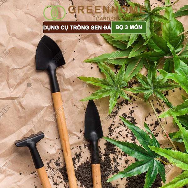 Dụng cụ làm vườn mini, 3 món, tiện lợi, chuyên dụng trồng sen đá, cán gỗ |Greenhome