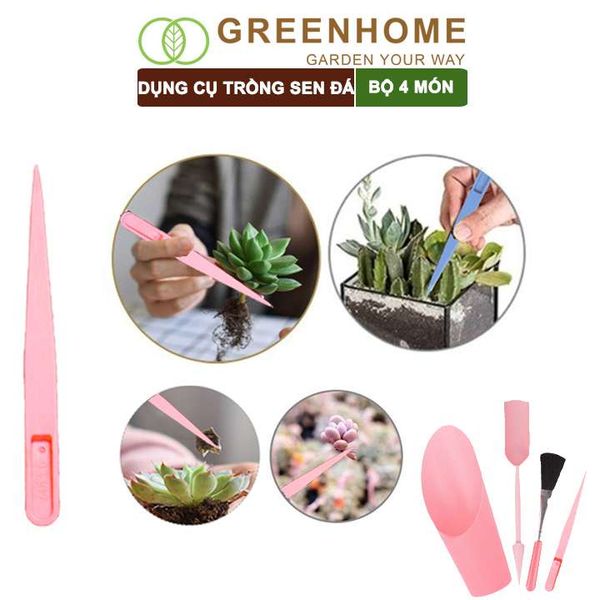 Dụng cụ làm vườn mini, 4 món, chuyên dụng cụ trồng sen đá, xương rồng, tiểu cảnh mini |Greenhome