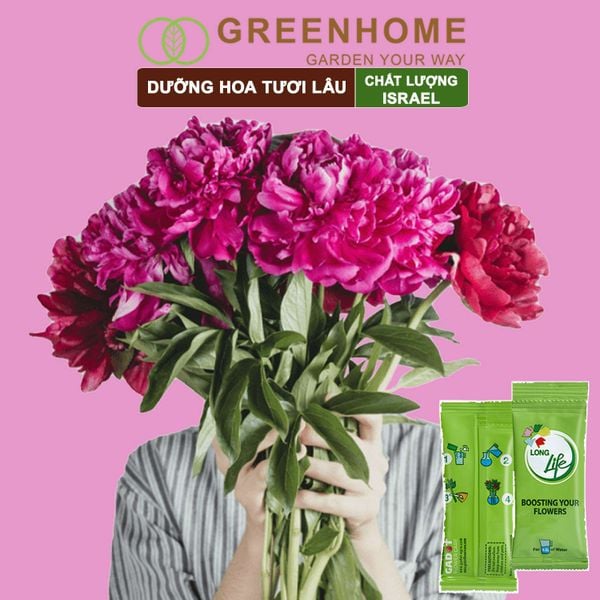 Dưỡng hoa tươi lâu longlife Greenhome, gói 5gr, lâu tàn, nở bông to, không bị hôi nước