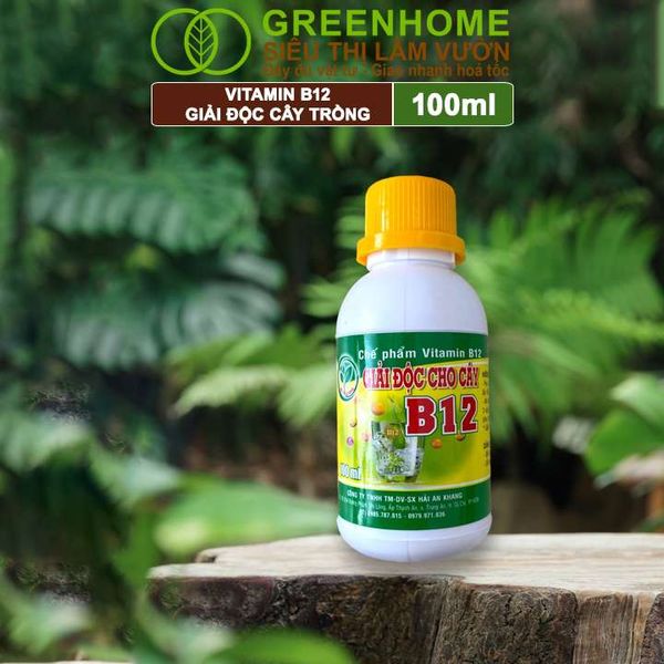 Chế phẩm Vitamin B12 Greenhome, Chai 100ml, chống sốc, phục hồi giải độc cho lan, cây cảnh khi bị bón phân quá liều, vận chuyển đường dài, thay đổi thời tiết