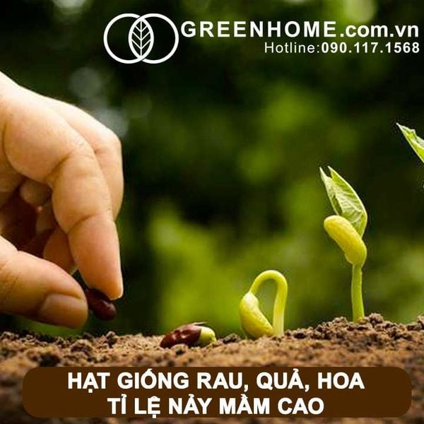 Làm vườn không khó, đã có Greenhome lo