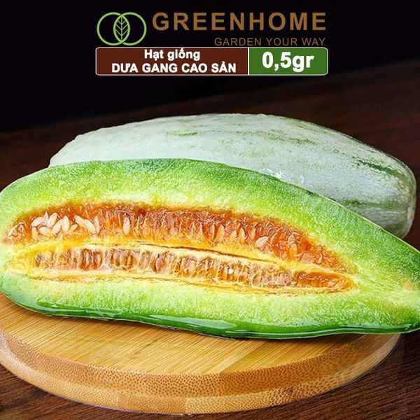 Hạt giống Dưa gang Greenhome, gói 0,5gr, trái dài, thơm, ngon, trồng quanh năm T04