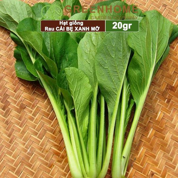 Hạt giống rau Cải bẹ xanh mỡ, gói 20g, dễ trồng, thu hoạch nhanh R04