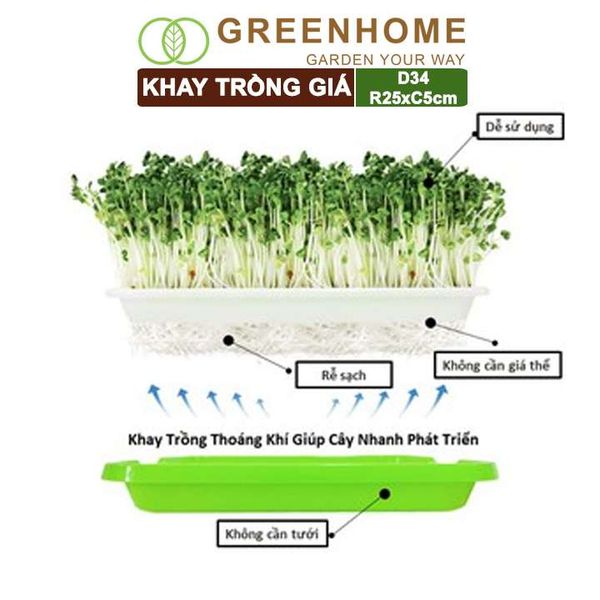 Bộ khay trồng giá, D34xR25xC5cm, nhiều màu sắc, nhựa nguyên sinh, an toàn, dễ trồng tại nhà |Greenhome