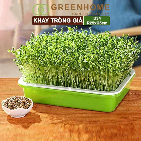 Bộ khay trồng giá, D34xR25xC5cm, nhiều màu sắc, nhựa nguyên sinh, an toàn, dễ trồng tại nhà |Greenhome