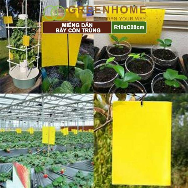 Miếng dán bẫy côn trùng, R10xC20cm, 2 mặt, siêu dính, hiệu quả, tiết kiệm chi phí, thân thiện môi trường |Greenhome