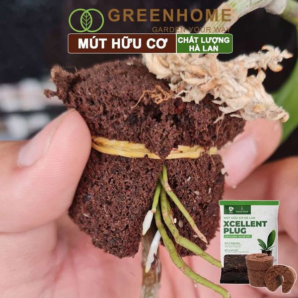 Mút ươm kie Hà Lan, 6x6x4cm, hữu cơ, kích rễ, ươm hạt, chiết cành, trồng thuỷ canh |Greenhome