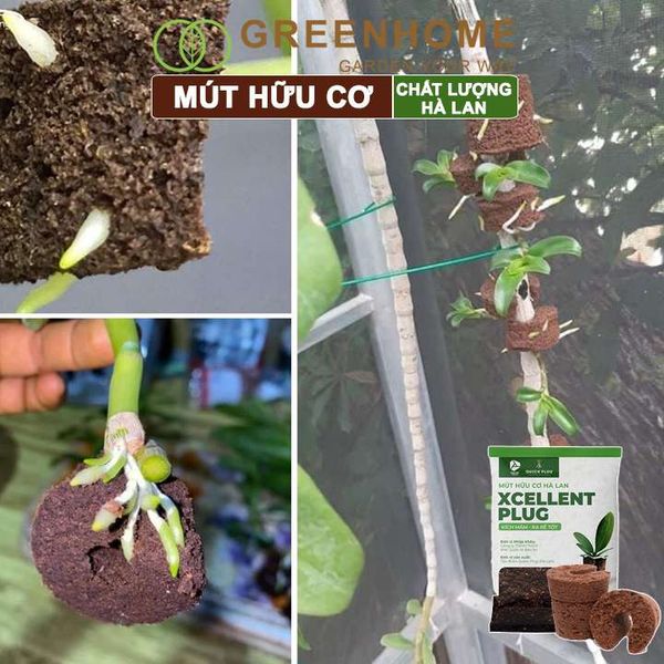 Mút ươm kie Hà Lan, 6x6x4cm, hữu cơ, kích rễ, ươm hạt, chiết cành, trồng thuỷ canh |Greenhome