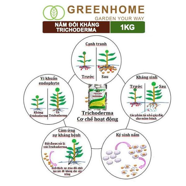 Nấm đối kháng Trichoderma, bao 1kg, phân vi sinh vật ủ phân, ủ rác, đậu tương, tưới gốc |Greenhome