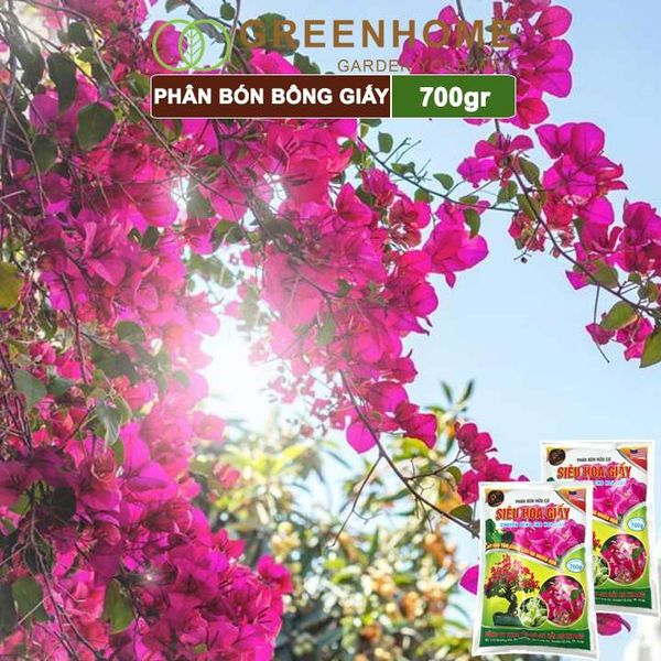 Phân bón hoa Giấy, bao 700gr, hữu cơ, giúp thân cứng cáp, ra bông nhiều, lâu tàn | Greenhome