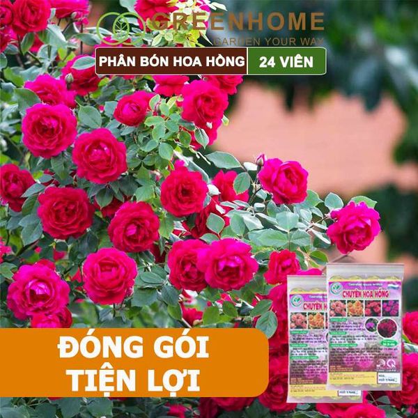 Phân bón chuyên hoa hồng, gói 24 viên, kích rễ, ra nhiều hoa, màu sắc đẹp