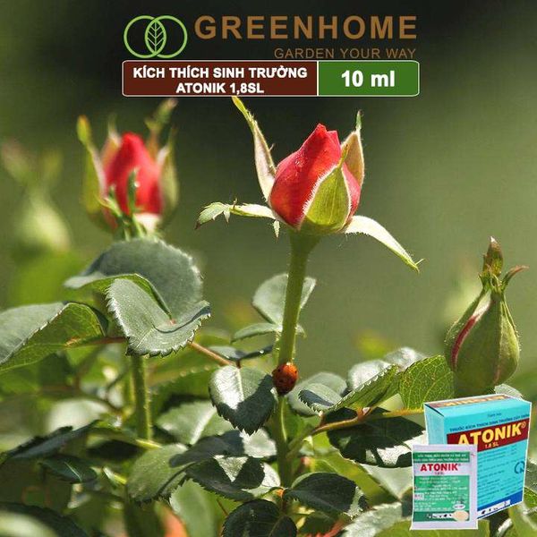 Hộp 10 gói Thuốc kích thích sinh trưởng cây trồng Atonik, gói 10ml, chuyên hoa lan, hoa hồng, cây cảnh |Greenhome