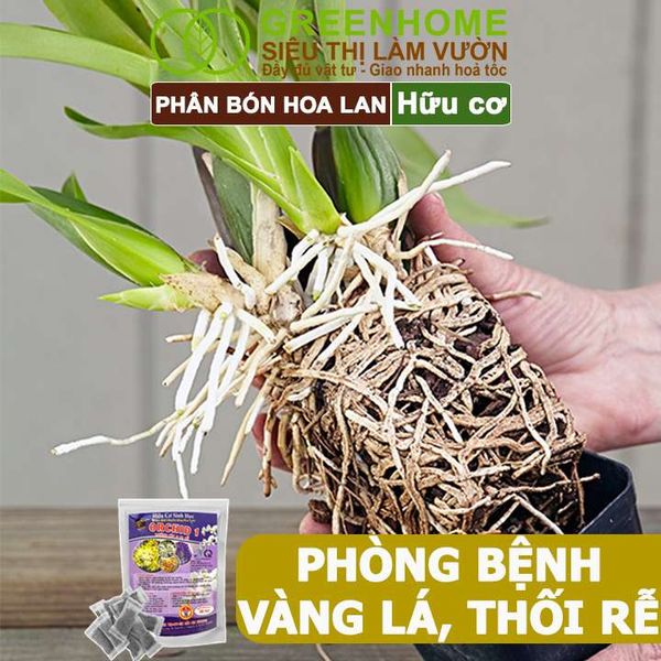 Phân Bón Lan, Túi Lưới, Tan Chậm, Không Mùi Hôi, Dưỡng Lan Ra Rễ, Xanh Tốt, Dùng Tốt Cho Sen Đá, Kiểng