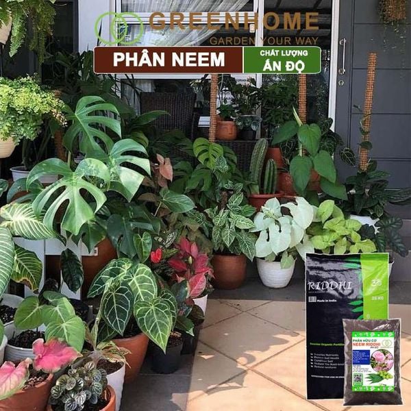 Phân bón hữu cơ Neem nguyên chất Greenhome, trị sùng đất, cuốn chiếu, hỗ trợ kích rễ, mầm, hoa, thân, lá