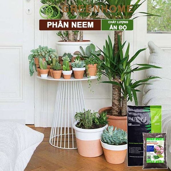 Phân bón hữu cơ Neem nguyên chất Greenhome, trị sùng đất, cuốn chiếu, hỗ trợ kích rễ, mầm, hoa, thân, lá