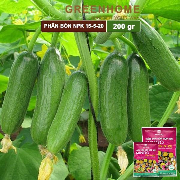 Phân NPK 15-5-20 Minro, bao 200gr, phân bón kích ra hoa, đậu trái, nuôi hoa, nuôi trái |Greenhome