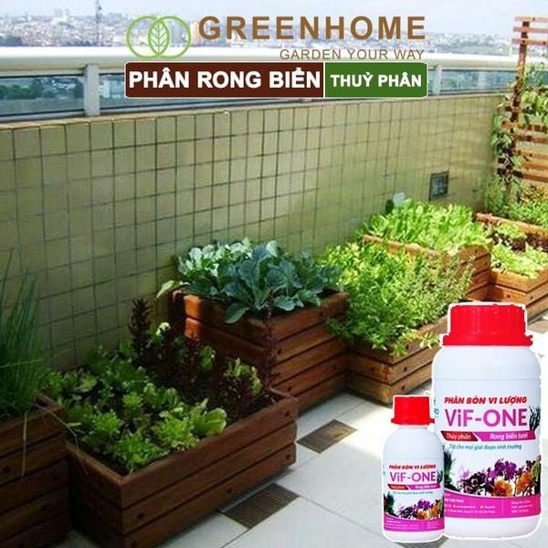 Phân bón lá Lavamix, rong biển, siêu kích rễ, mầm lá, hoa hồng, lan, các lại rau |Greenhome