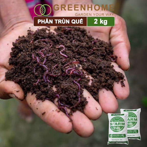 Phân trùn quế Sfarm, bao 2kg, nguyên chất bổ sung dinh dưỡng cho cây, hoa, cải tạo đất |Greenhome