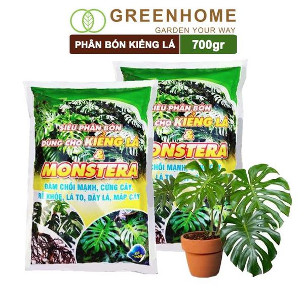 Phân bón kiểng lá, monstera, Greenhome, bao 700gr, đâm chồi mạnh, cứng cây, rễ khoẻ, lá to, dày