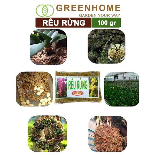 Rêu rừng Newzita, bao 100gr, đã qua xử lý, giữ ẩm tốt, chuyên phong lan, kiểng lá | Greenhome