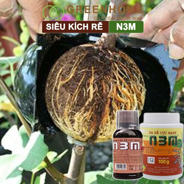 Thuốc kích rễ N3M, hũ 100gr, siêu ra rễ, giâm, chiết cành, ngâm hạt giống |Greenhome