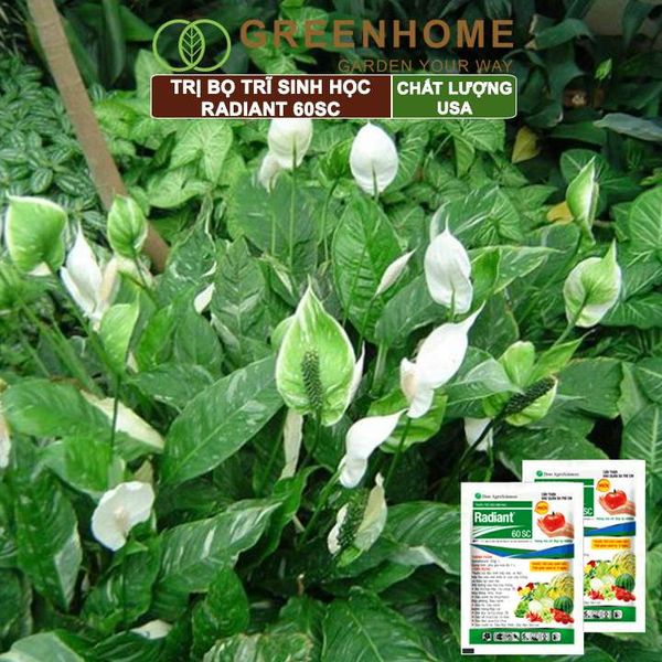 Thuốc trị bọ trĩ Radiant 60sc, gói 15ml, diệt sâu sinh học, bảo vệ toàn diện hoa hồng, cây cảnh |Greenhome
