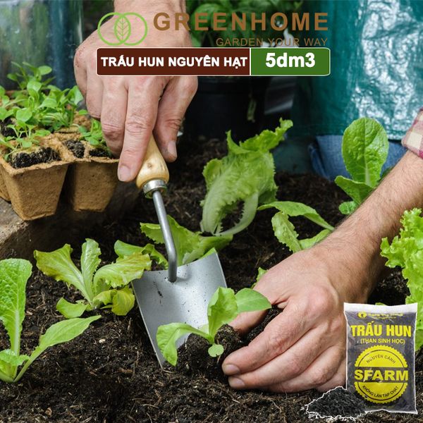 Trấu hun nguyên cánh Sfarm, bao 5dm3, không lẫn tạp chất. dùng trồng thuỷ canh, rau mầm, ươm cây con |Greenhome