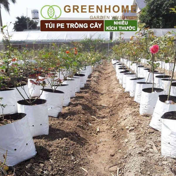 Túi PE trồng cây, 2 lớp, nhiều kích thước, chống UV tiện lợi, độ bền 1,5 năm, trồng rau, hoa, dâu tây |Greenhome