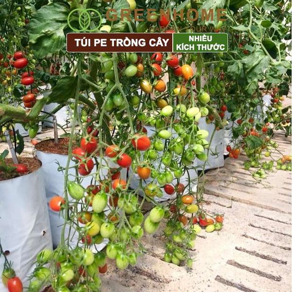Túi PE trồng cây, 2 lớp, nhiều kích thước, chống UV tiện lợi, độ bền 1,5 năm, trồng rau, hoa, dâu tây |Greenhome