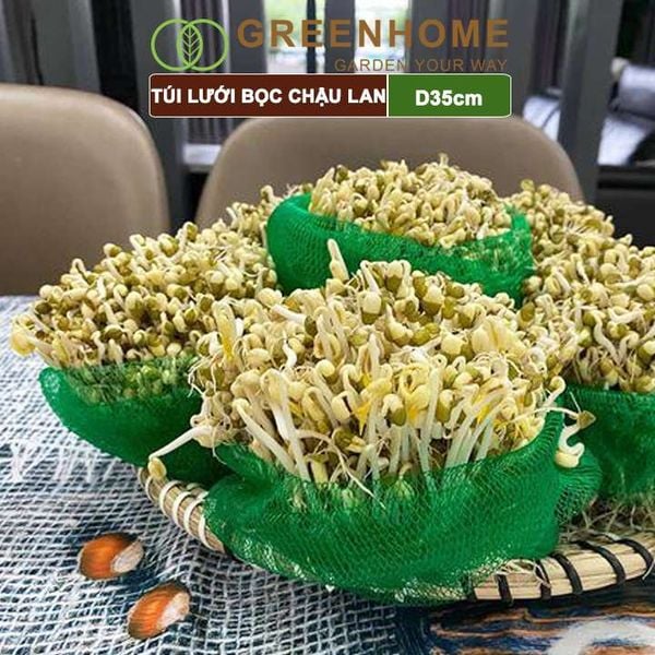 Túi lưới lót chậu trồng phong lan, D35cm, ngăn rơi vãi giá thể, phân bón, độ bền cao |Greenhome