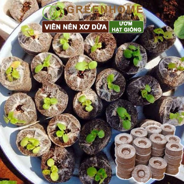 Viên nén xơ dừa, bao 50 viên, ươm hạt giống trồng cây, ươm hạt, ươm cây giống, trồng dâu tây, thuỷ canh |Greenhome