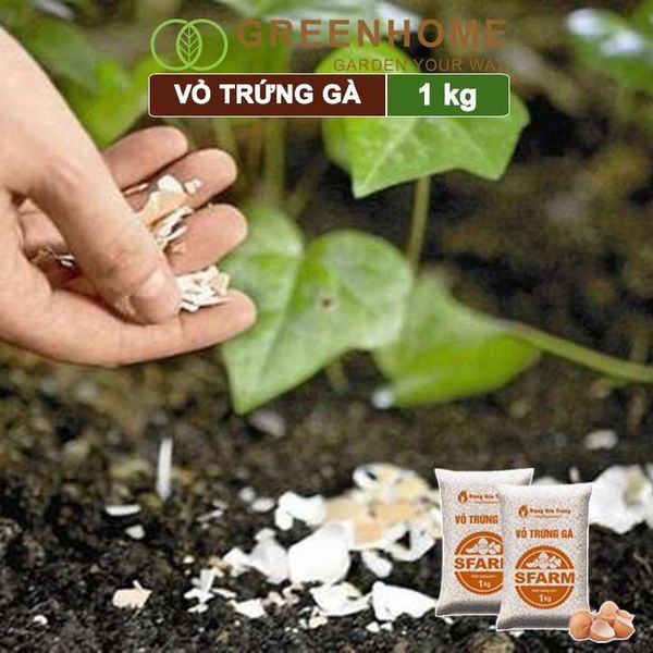 Vỏ trứng gà đã qua xử lý Sfarm, bao 1kg, giúp cây khoẻ, chống côn trùng, sâu bọ |Greenhome