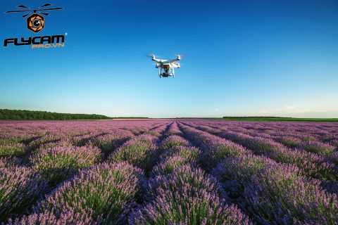 essential-drone-travel-tips-everything-you-need-to-know