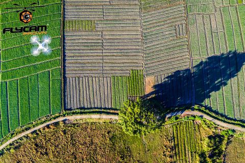 9-luu-y-quan-trong-truoc-khi-ban-quyet-dinh-mua-mot-chiec-flycam