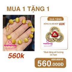 chuỗi mân côi, kinh mân côi, tràng hạt mân côi, mùa chay