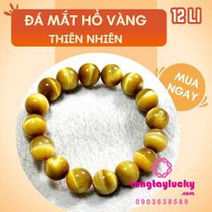 Hình ảnh bài viết