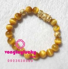 Hình ảnh bài viết