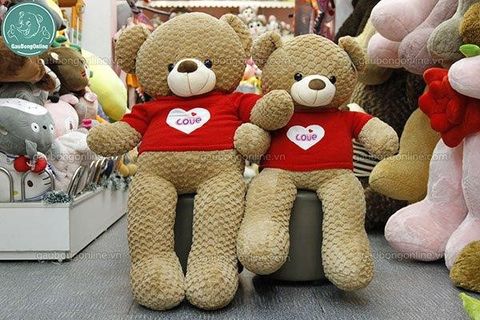 3 mẫu gấu teddy nhỏ giá rẻ cao cấp hiện nay đang được ưa chuộng cho trẻ