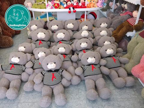 gấu teddy